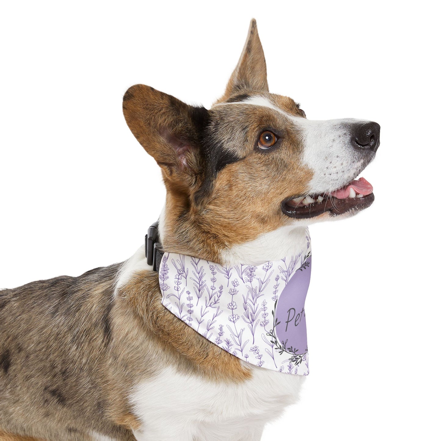side view of a dog wearing a bandana with lavender design on a white background