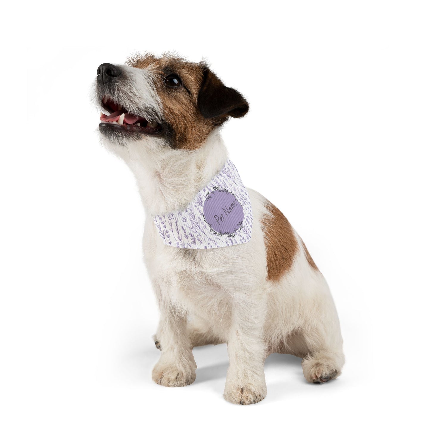 Small dog wearing a purple lavender print bandana design on a white background
