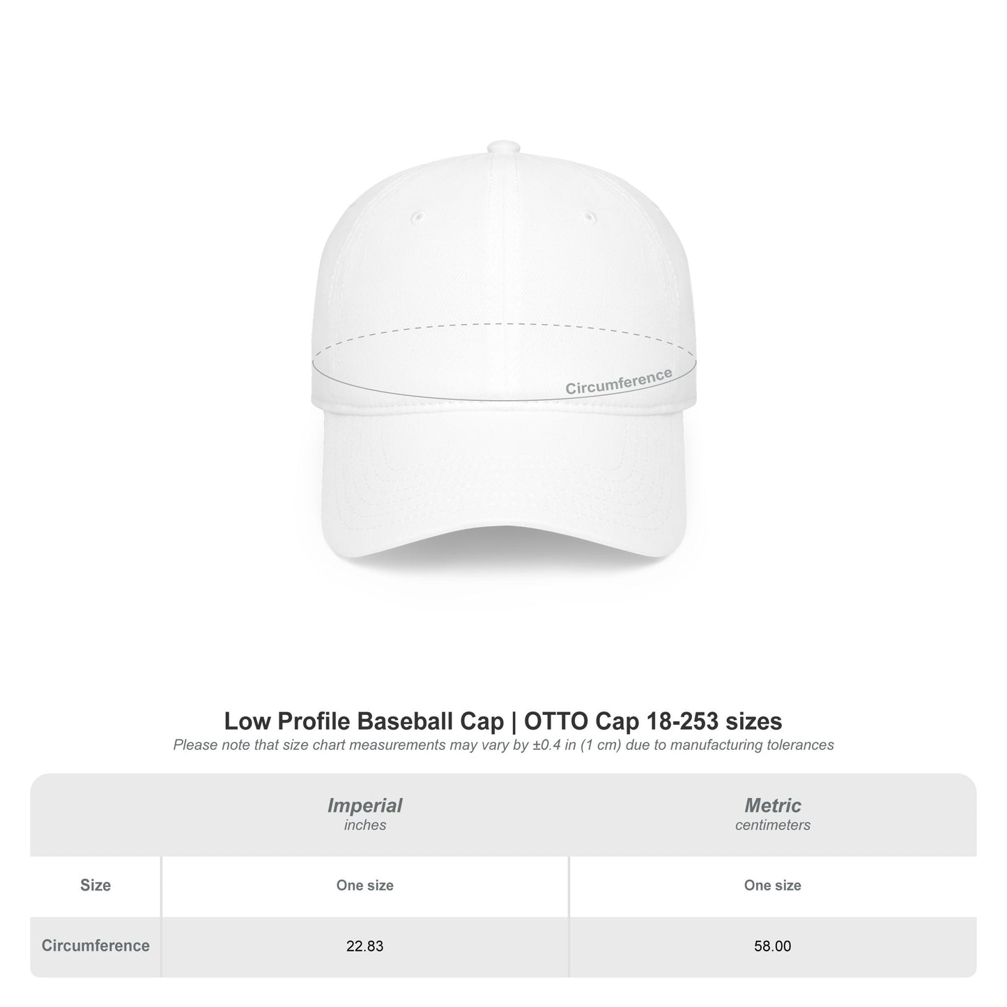 The Audacity Embroidered Baseball Cap
