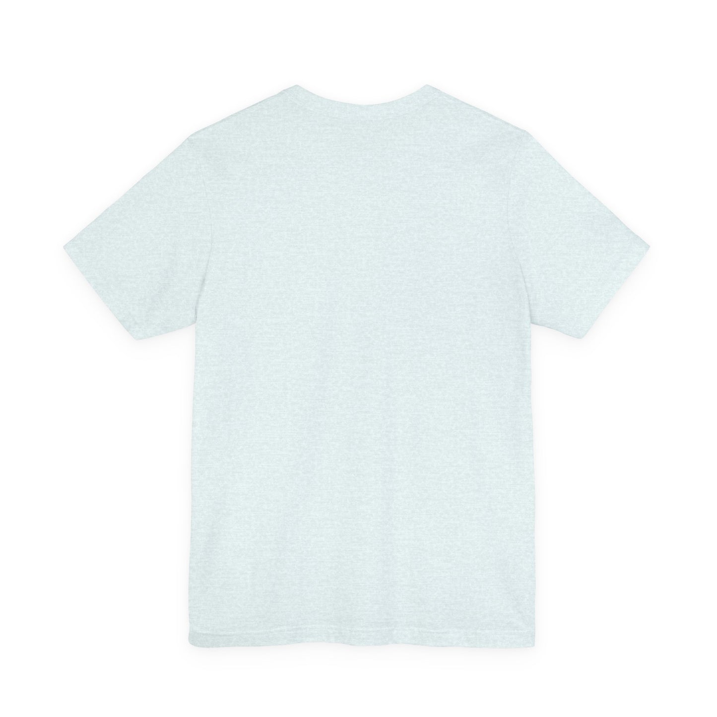 Back view of lightest blue t-shirt on a white background