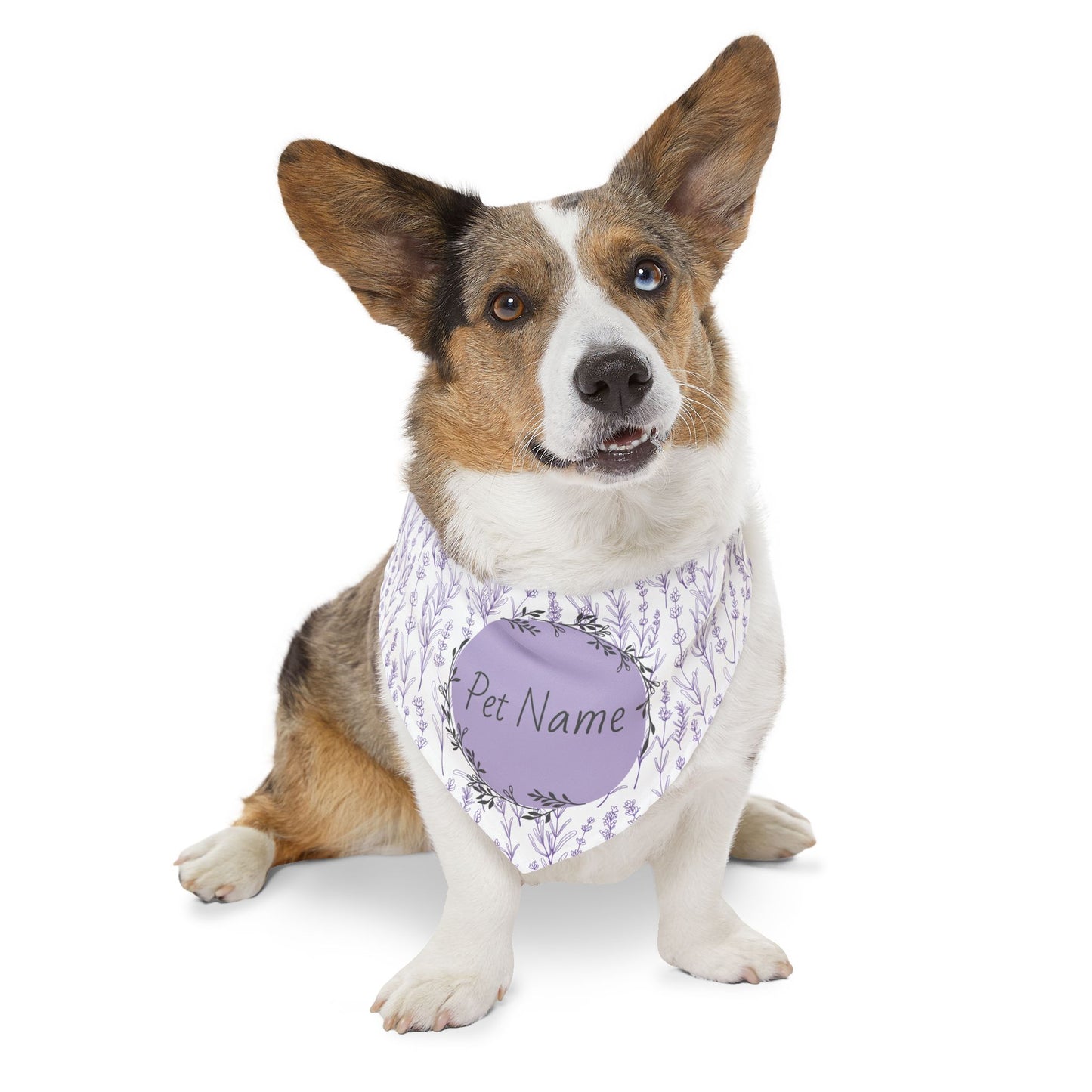 Dog wearing a purple bandana personalize name tag on a white background