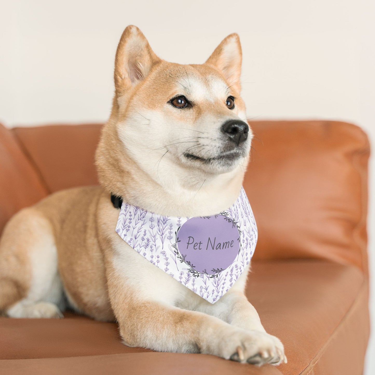 Dog wearing a bandana with a customizable name tag on a brown couch.