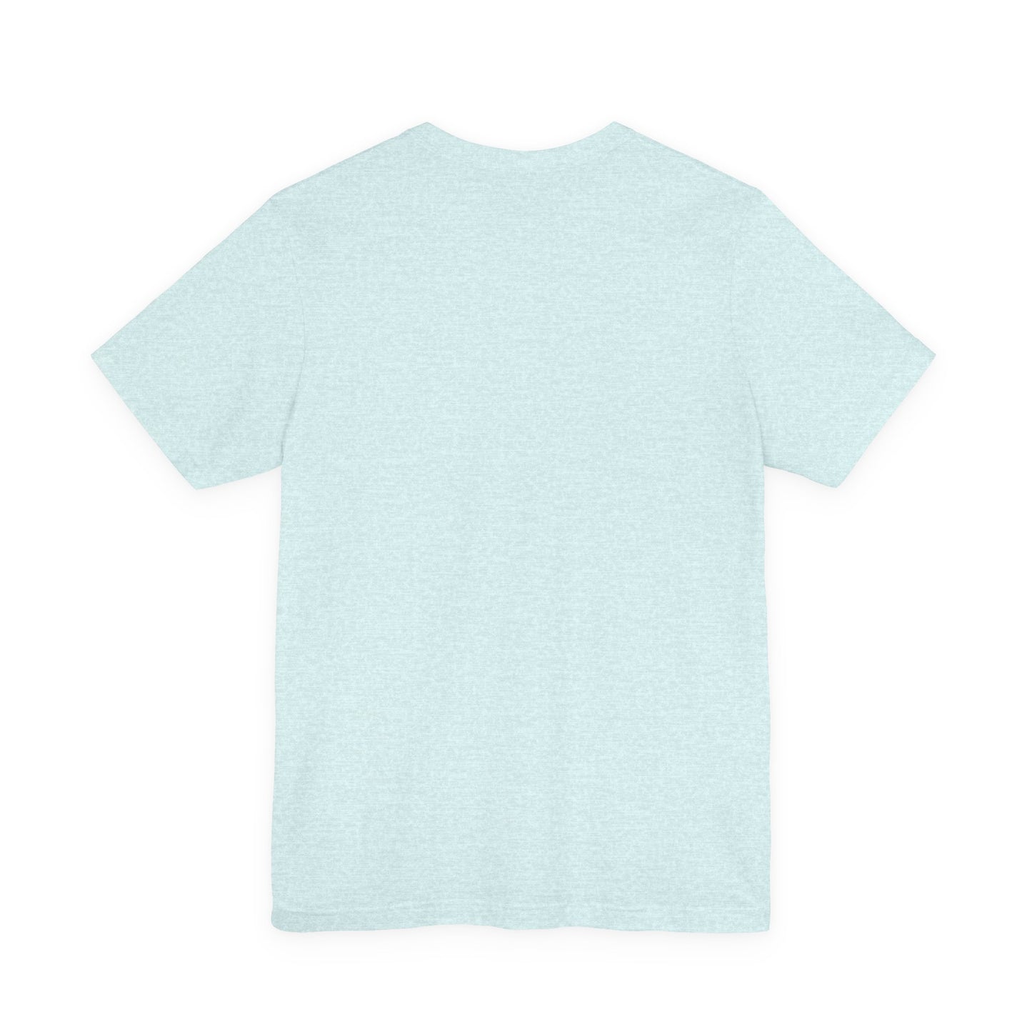 Back view of light blue t-shirt on a white background