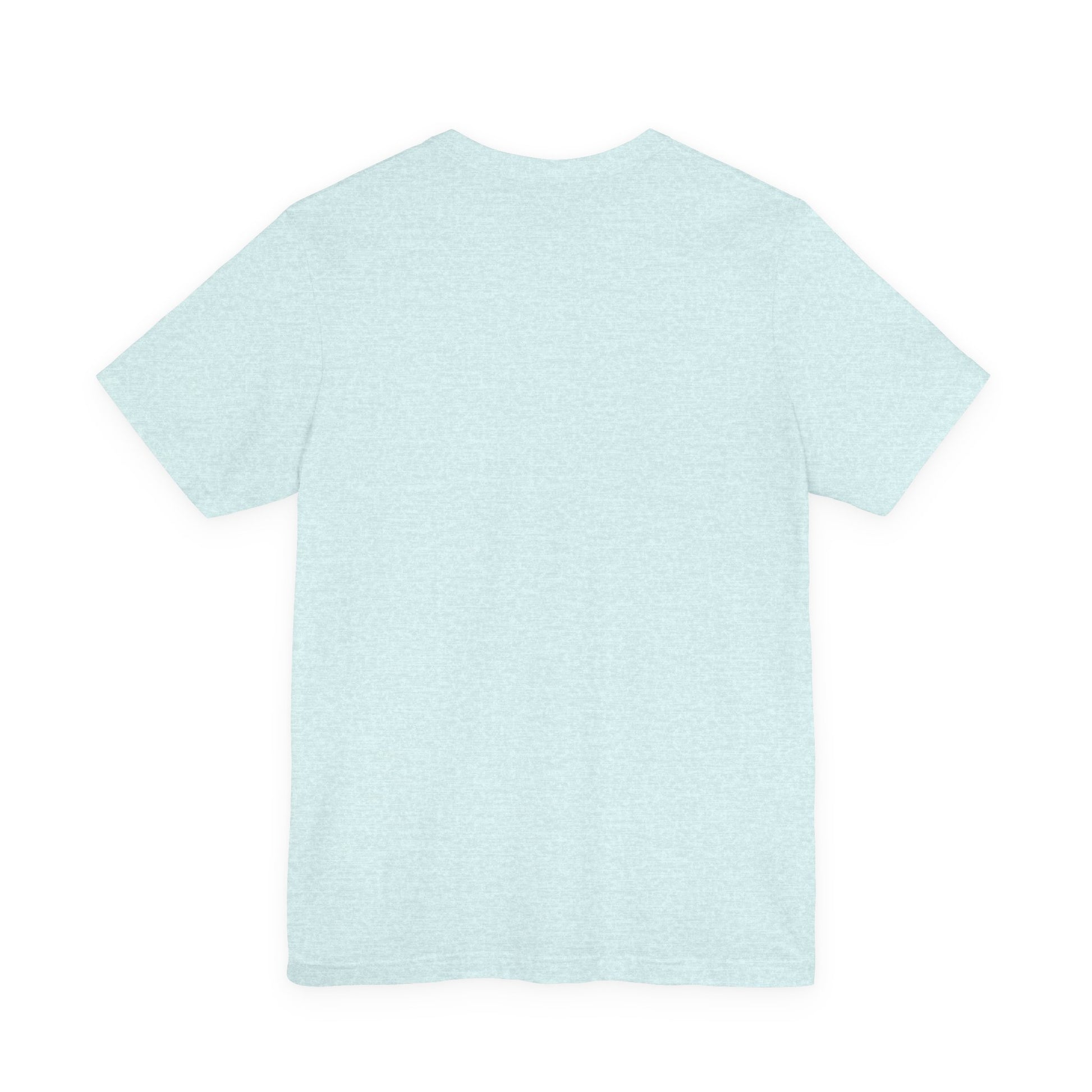 Back view of light blue t-shirt on a white background
