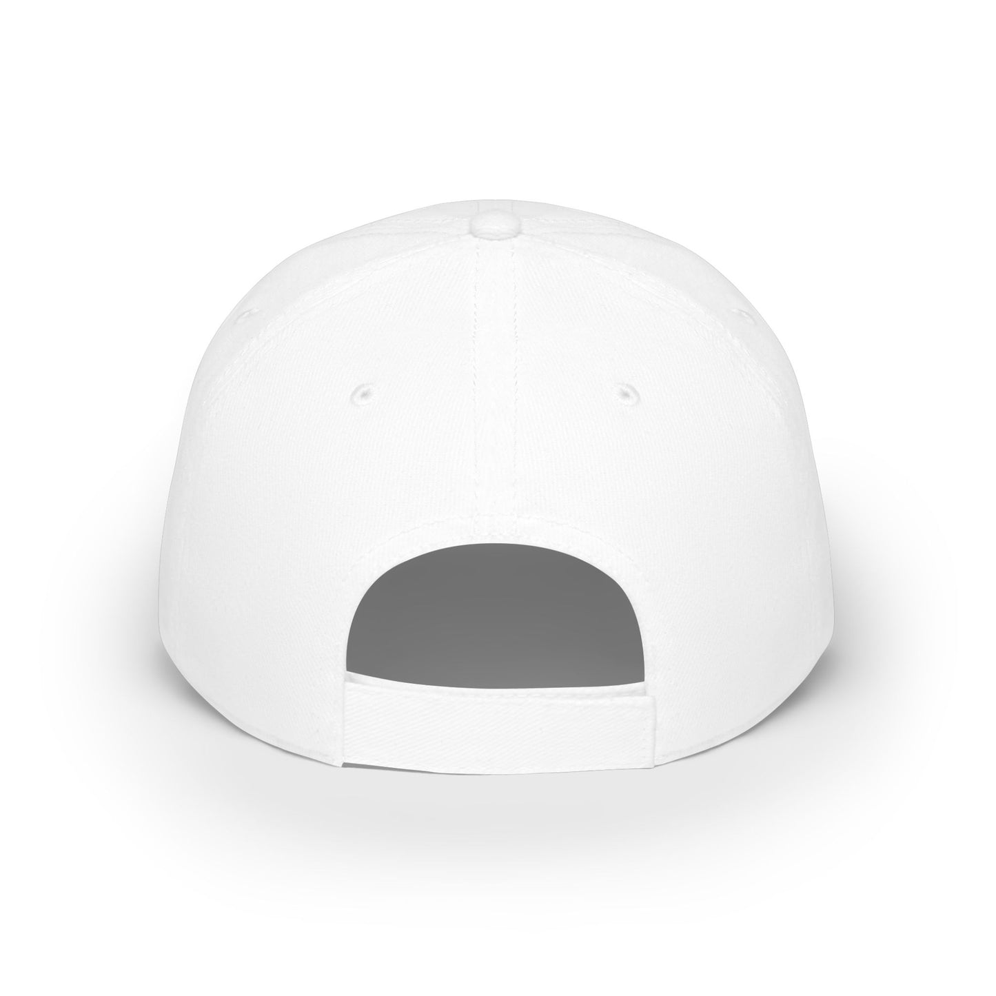 The Audacity Embroidered Baseball Cap