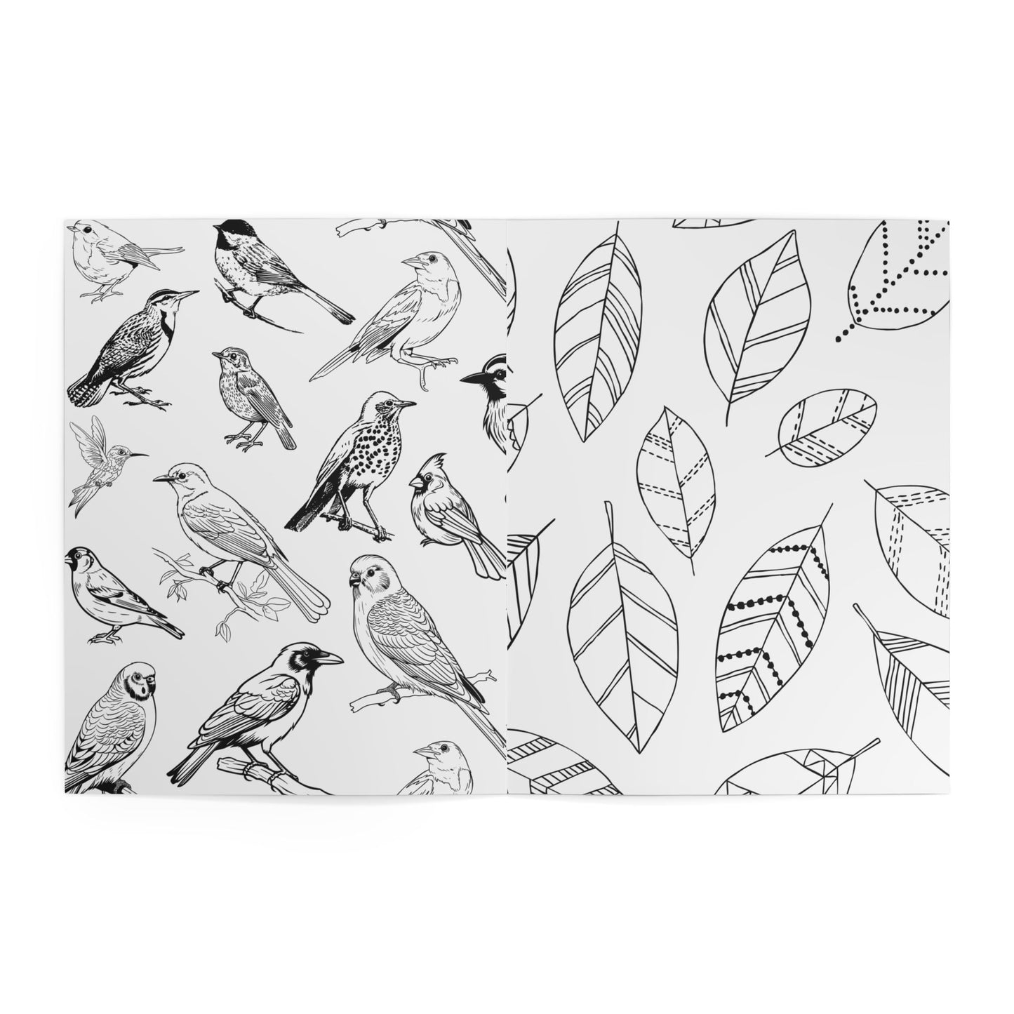 Coloring Gift Bundle ~ Hobbies, Wings + Outdoor Things
