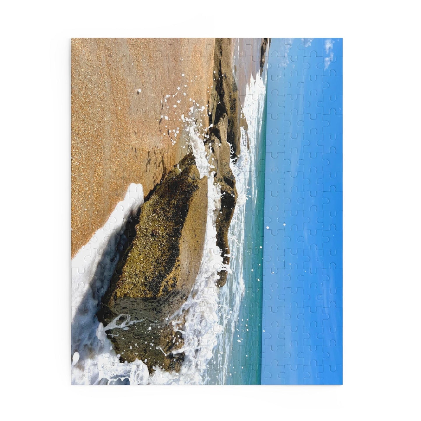 252 Piece Puzzle of Florida's Washington Oaks Gardens State Park Beach