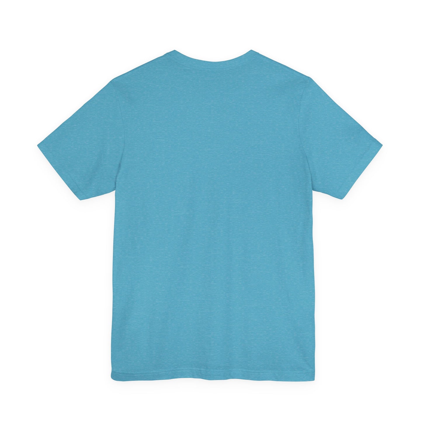 Back view of aqua blue t-shirt on a white background