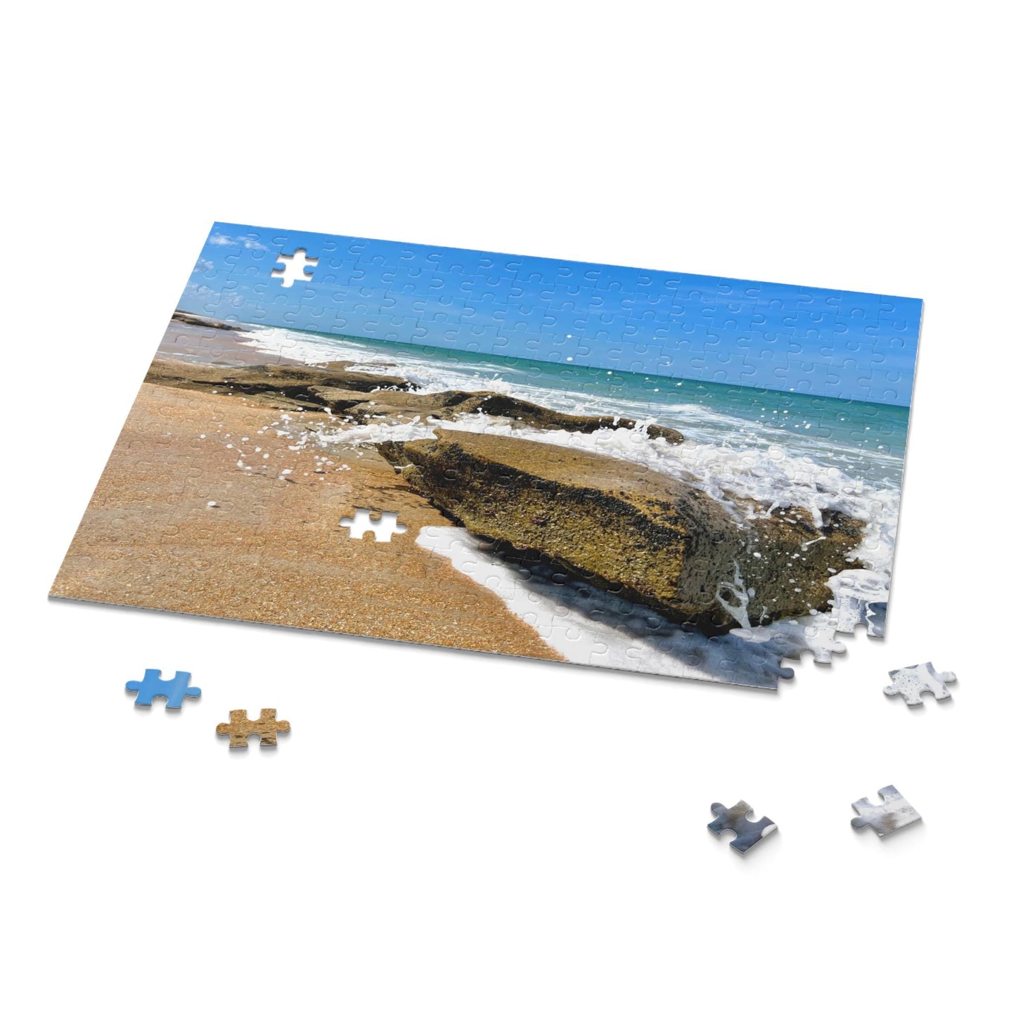 252 Piece Puzzle of Florida's Washington Oaks Gardens State Park Beach
