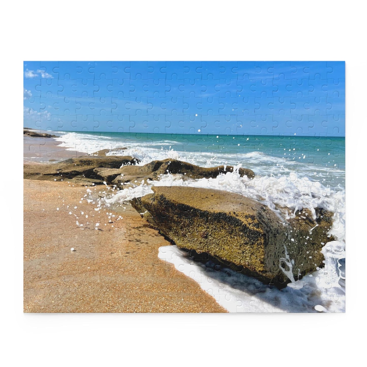 252 Piece Puzzle of Florida's Washington Oaks Gardens State Park Beach